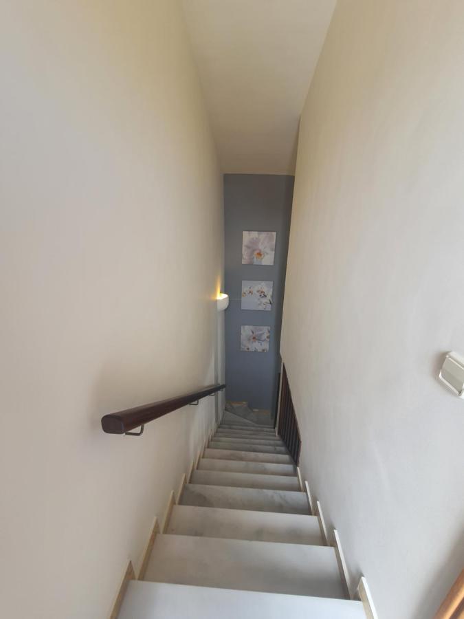 Apartamento Frida Faro Park بلايا بلانكا المظهر الخارجي الصورة